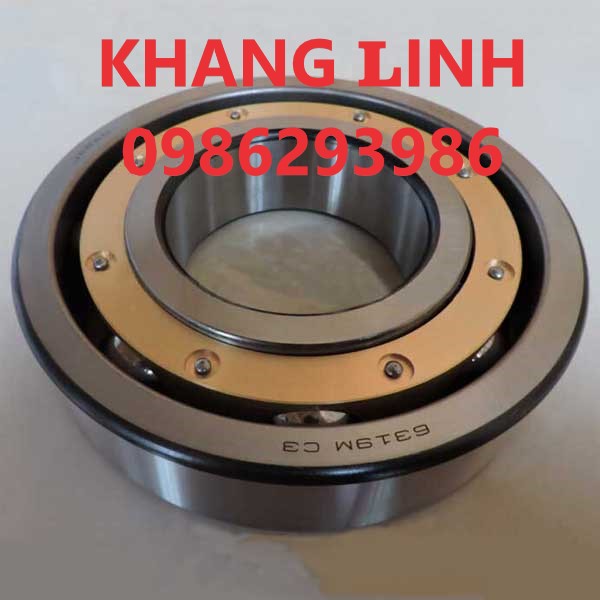 Vòng bi 6319